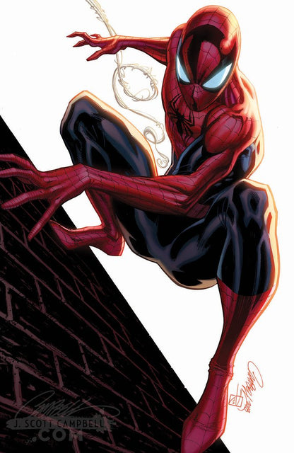 Original Art: ASM #800 JSC EXCLUSIVE Cover A 'Spider-Man'